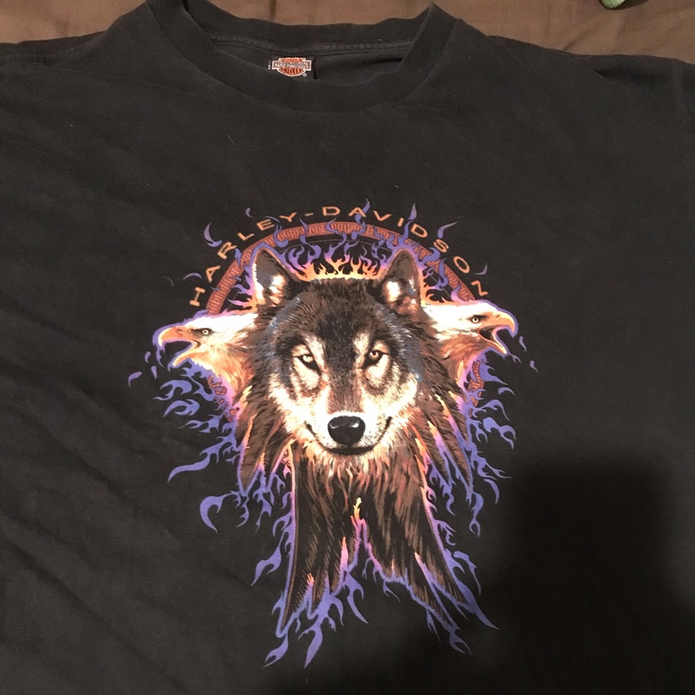 Vintage Harley Davidson shirt (pikes peak)